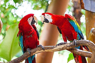 开放世界动作角色扮演游戏《鼠鼠英雄》Steam页面上线 支持简体中文